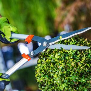 mantenimiento áreas verdes